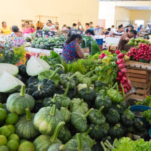 Mercado Municipal