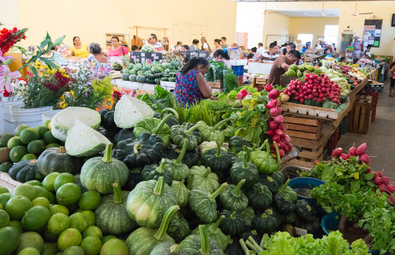 Mercado Municipal